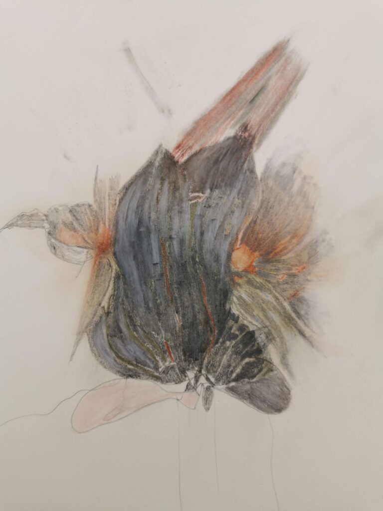 Zeichnung mit Pastell, in der sich abstrahierte Naturformen und Linien zu einer dunklen, vieldeutigen Form verdichten